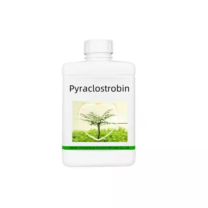 H244890164527456ba5555dd55e7536dcz.jpg_720x720q50